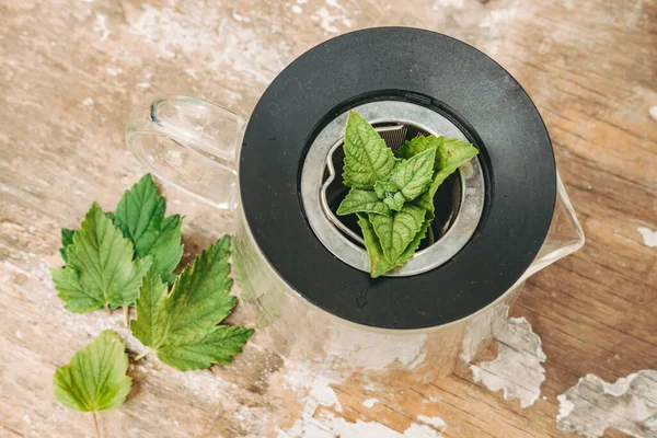 mint leaves and currants for tea. Healthy tea from garden plants