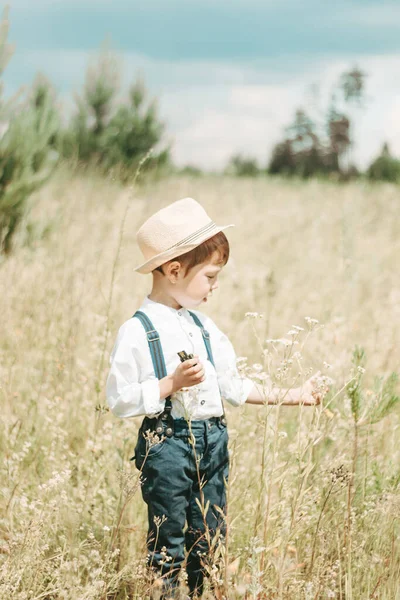 Маленький Фермер Літньому Полі Милий Маленький Хлопчик Солом Яному Капелюсі — стокове фото