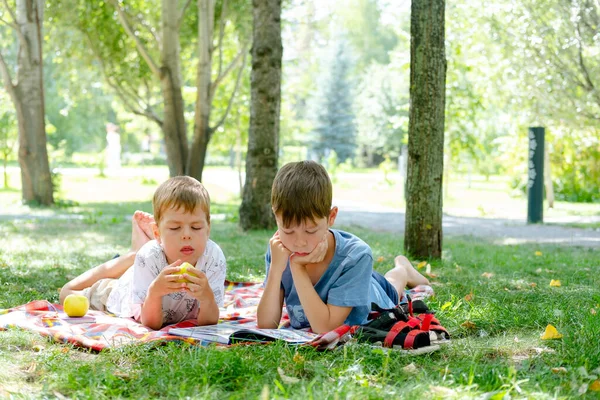 Dwóch Chłopców Leży Kocu Zielonym Parku Dzieci Czytają Książkę Leżącą — Zdjęcie stockowe