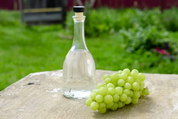 Garrafa de vinho branco, copo, videira jovem e cacho de uvas contra fundo de primavera verde. Bebida de uva verão — Fotografia de Stock