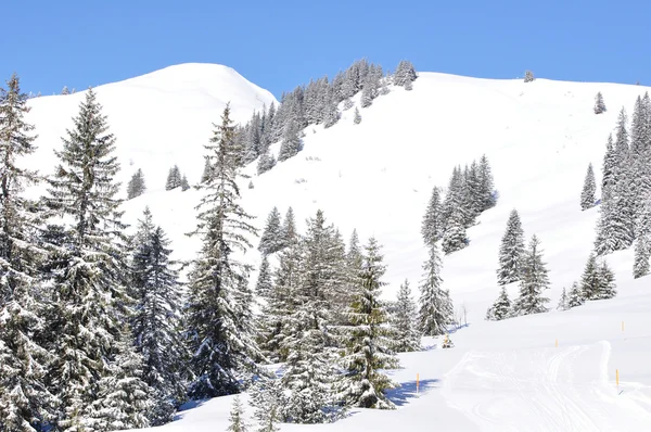 Berglandschap in de sneeuw — Stockfoto