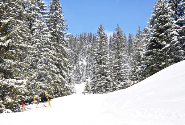 Berglandschap in de sneeuw — Stockfoto