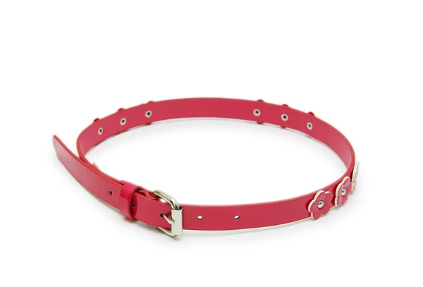 Belt pink color isolated — Stock Photo, Image