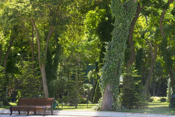 Le temps est l'argent isolé sur blanc — Photo