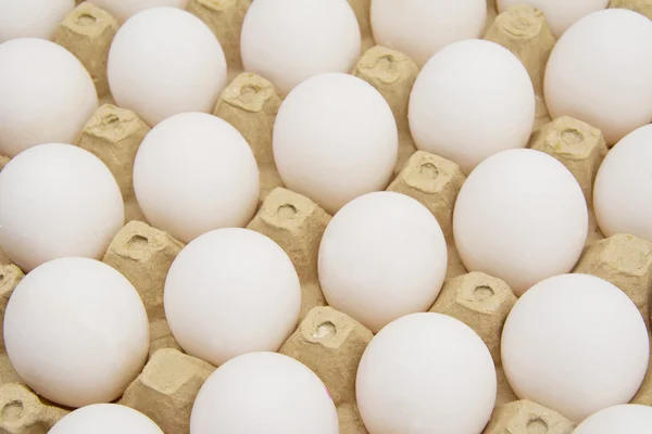 Eggs in carton with clipping path — Stock Photo, Image