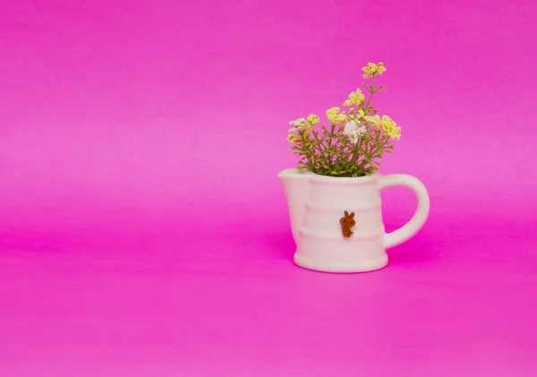 ピンクの背景の花 ストック画像