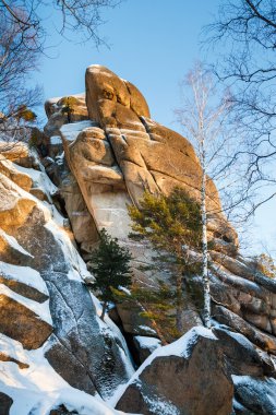 Sibirya'da kış manzarası 