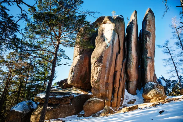 Sibirya'da kış manzarası 