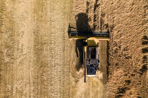 Sklizeň Pšenice Kombinovaná Práce Terénu Letecká Fotografie — Stock fotografie