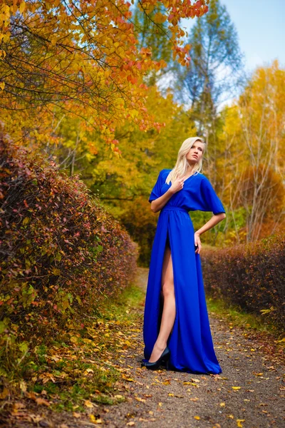 Girl fall park  trees — Stock Photo, Image