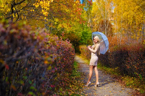 Girl fall park  trees umbrella — Stock Photo, Image