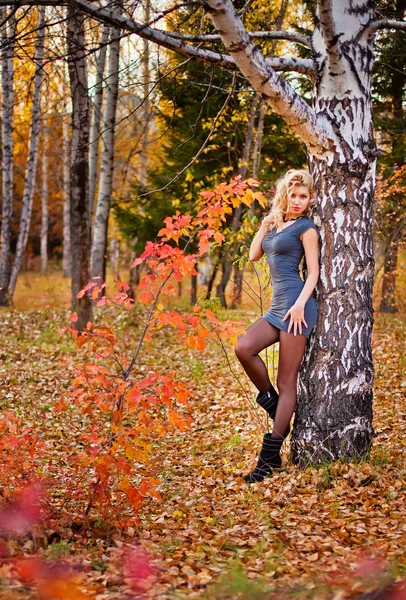 Portrait the girl fall in the wood — Stock Photo, Image