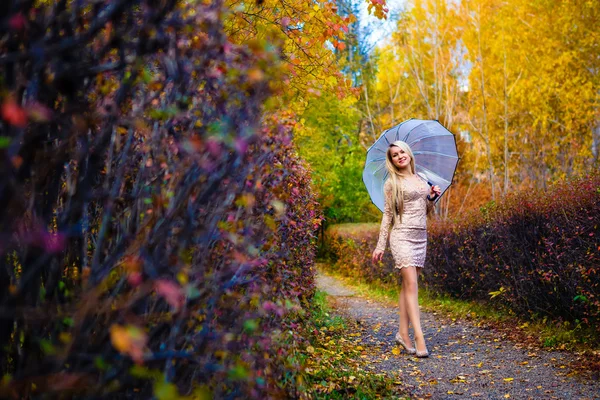 Dívka pád parku stromy deštník — Stock fotografie
