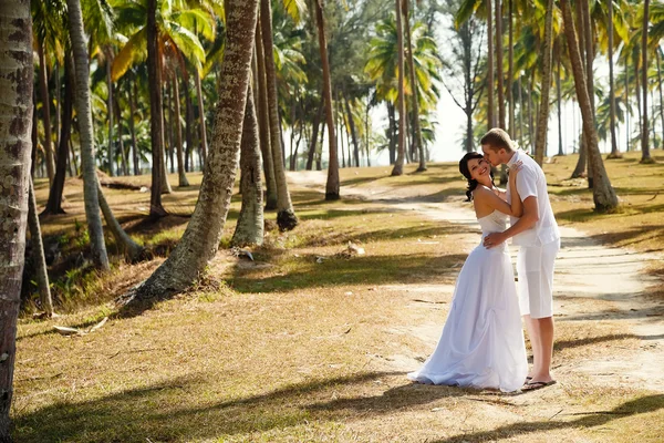 Wedding bride groom sea palm tree tropics — Stock Photo, Image