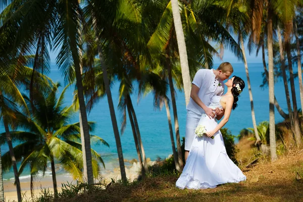 Wedding bride groom sea palm tree tropics — Stock Photo, Image