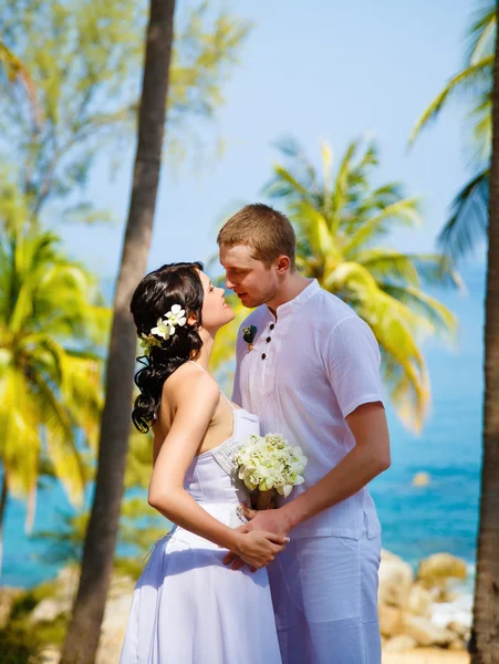 Sposa sposa mare palma tropici — Foto Stock