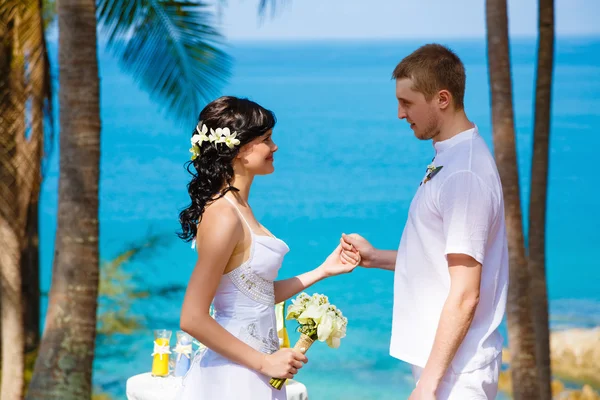Wedding bride groom sea palm tree tropics — Stock Photo, Image