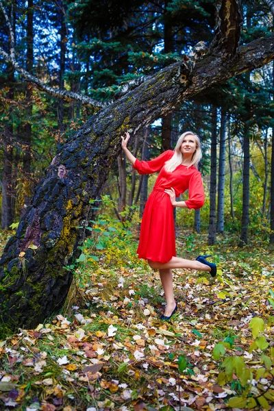 Menina queda parque árvores — Fotografia de Stock