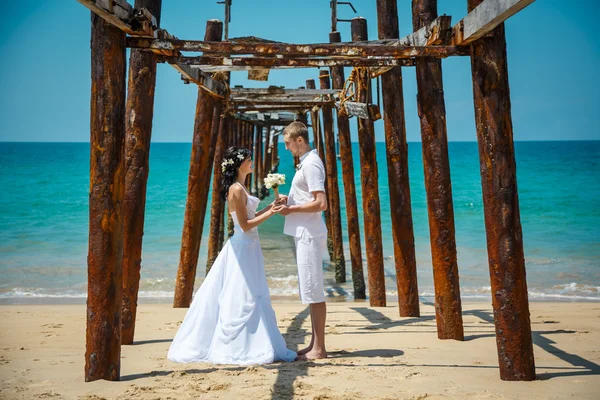 Gelin Damat deniz hurma ağacı tropik düğün