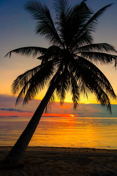 Denizde bir palmiye ağacı siluet düşüş