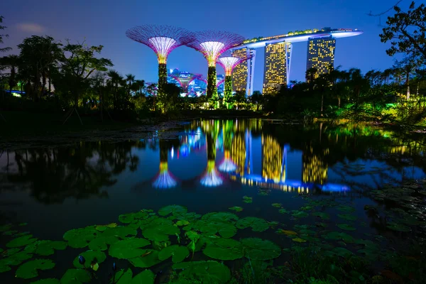 Vista notturna del giardino singapore — Foto Stock