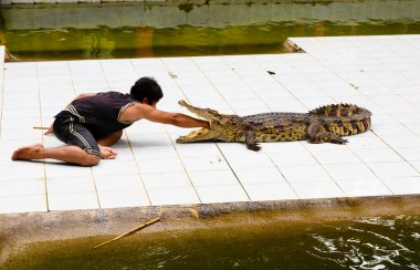 Lunaparktaki Samui Tayland gezi
