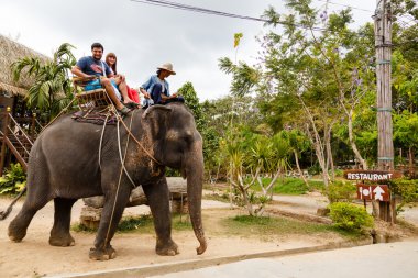 Turistik gezi, filler, Samui gösterisi