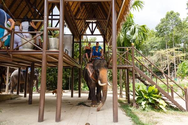 Toeristische excursie, Toon van olifanten, naar Samui — Stockfoto