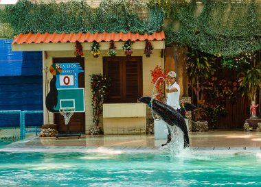 Samui akvaryum ve Tiger Hayvanat Bahçesi gezisi
