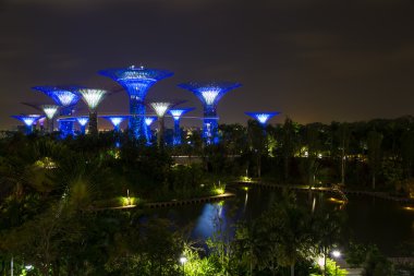 Bahçe Singapur gece görünümü