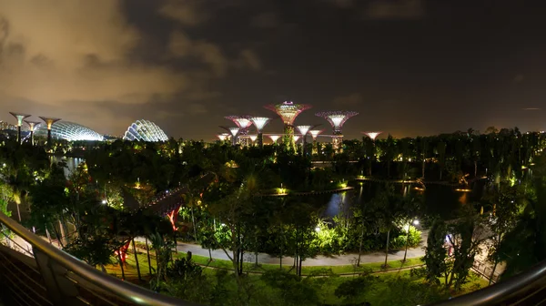 Night view of the garden singapore — Stock Photo, Image