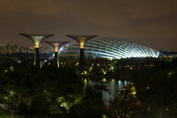 มุมมองกลางคืนของสวนสิงคโปร์ — ภาพถ่ายสต็อก