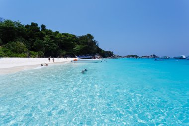 Similan Adaları deniz plaj