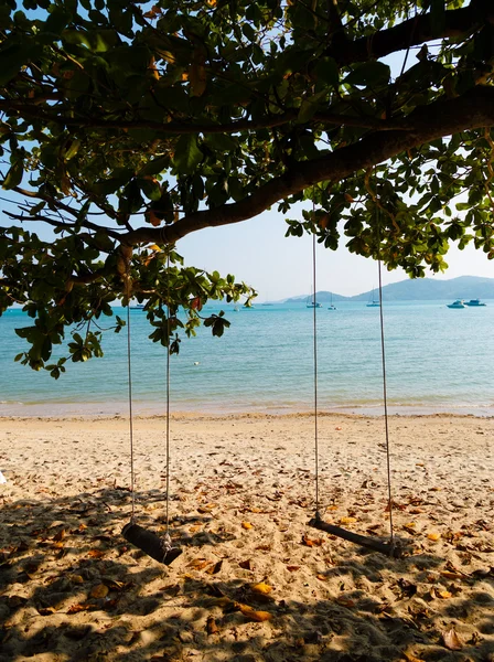 Качели на дереве на пляже — стоковое фото