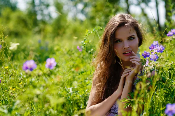 Young sexy girl with flowers in the field — Stock Photo, Image