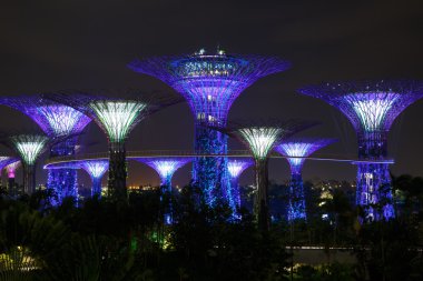 Bahçe Singapur gece görünümü