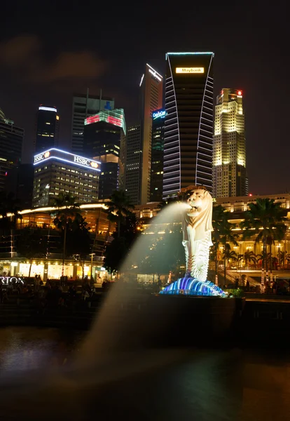 Vista notturna del giardino singapore — Foto Stock