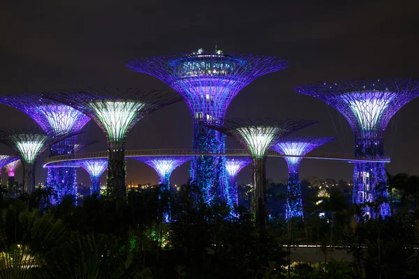 Vista notturna del giardino singapore — Foto Stock