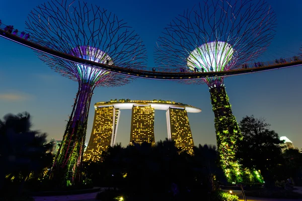 Vista notturna del giardino singapore — Foto Stock