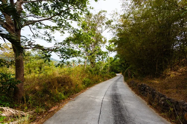 Droga w dłoni dżungli Tajlandia — Zdjęcie stockowe