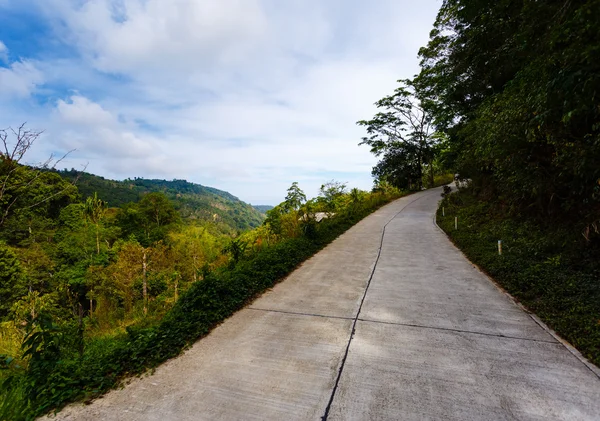 Camino en la selva de palmeras de Tailandia — Foto de Stock