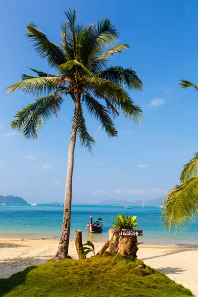 Paisagem o mar, o barco, uma palmeira em Phuket — Fotografia de Stock