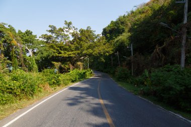 tropik bölgelerde pahalıdır manzara 