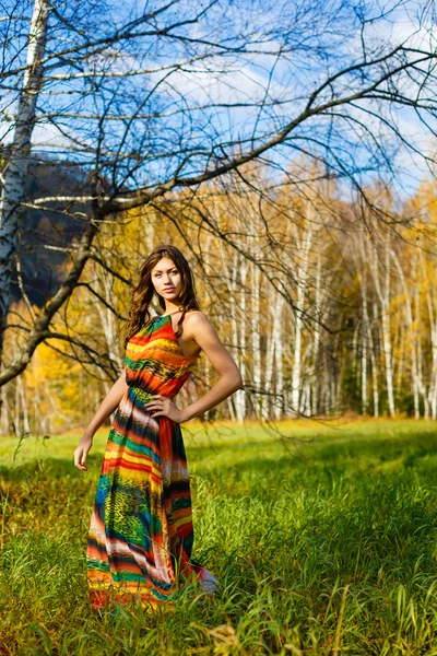 Heureuse jeune femme dans le bois d'automne de la montagne — Photo