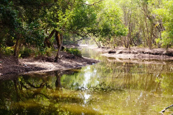 Tropische landschap met een reservoir — Stockfoto