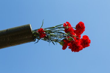 çiçekler bir silah gövde