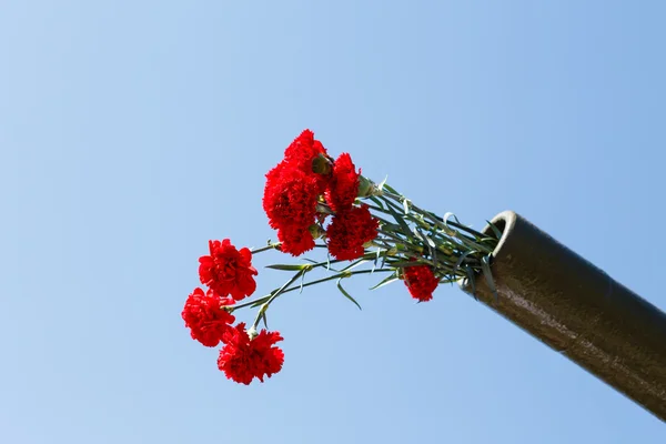 çiçekler bir silah gövde