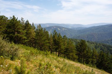 Yaz manzara ahşap, Rusya'nın Dağları 