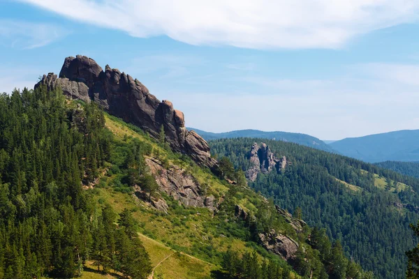 Yaz manzara ahşap, Rusya'nın Dağları 