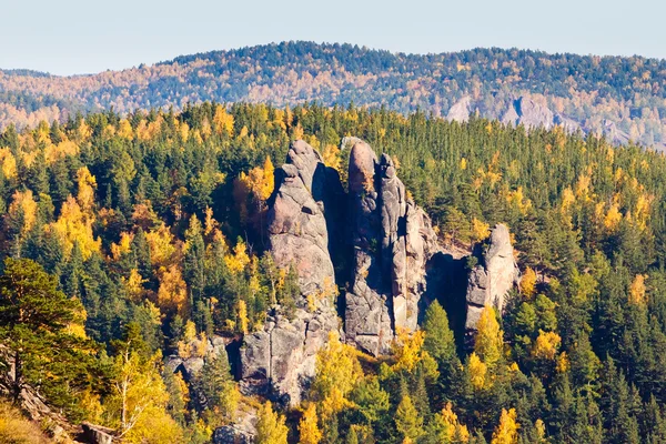 Dağın sonbahar manzara 